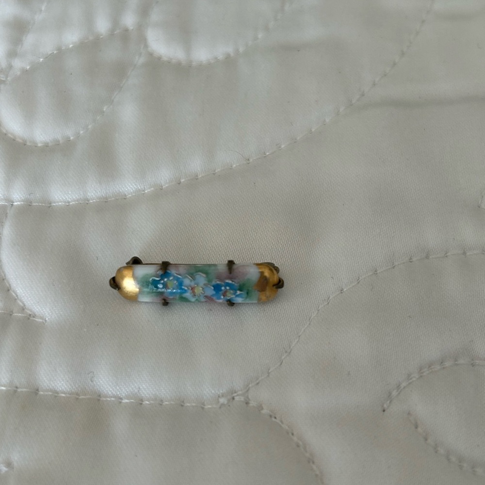 Hand painted lapel pin